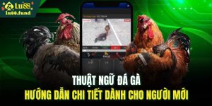 thuật ngữ đá gà