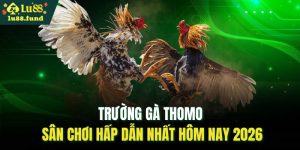 Trường gà Thomo